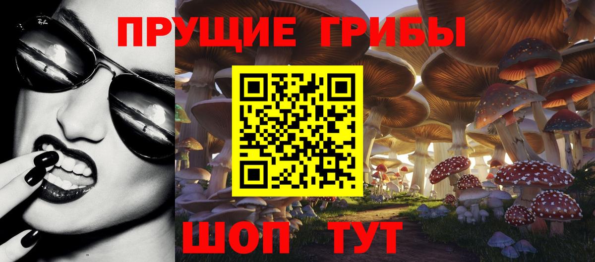 Псилоцибиновые грибы MAGIC MUSHROOMS Нижний Новгород