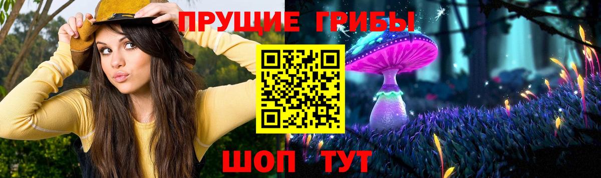 цены   Галлюциногенные грибы MAGIC MUSHROOMS  Вход с VPN  Галлюциногенные грибы мухоморы  Нижний Новгород 